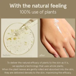 Centella Asiatica Serum