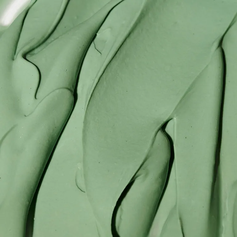 Expert Spirulina Cooling Modeling Mask