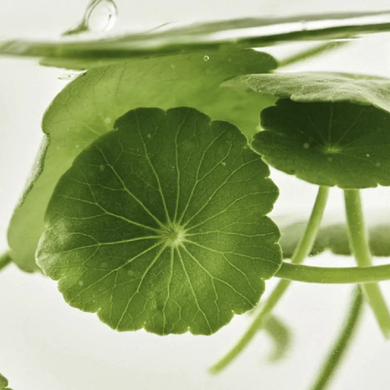 Light On Serum Centella + Vita C