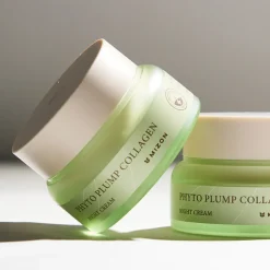 Phyto Plump Collagen Night Cream