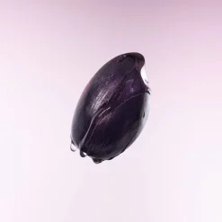 Purple Rice Pore Smoothing Cleansing Oil