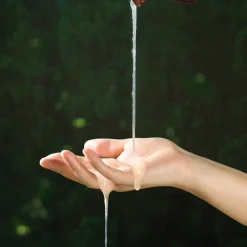Shampoo Signature