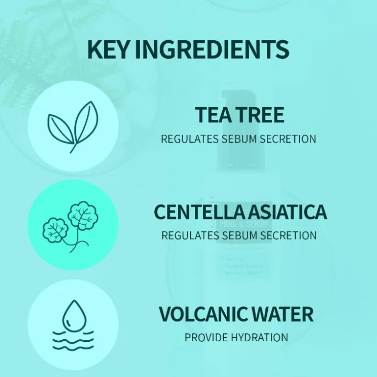 Tea Tree Pore & Sebum Emulsion
